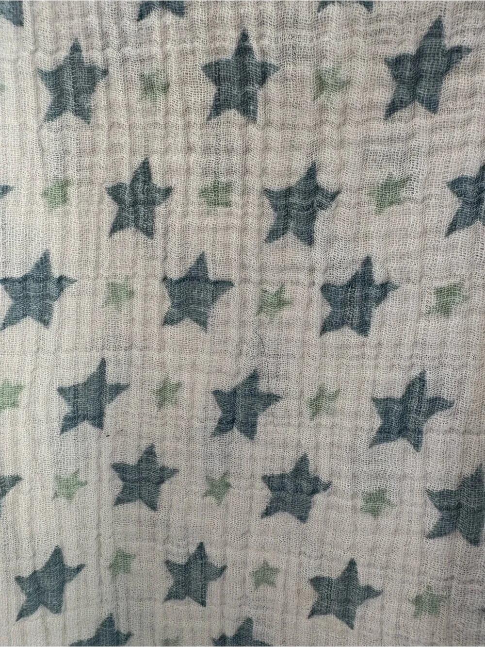 aden + anais 100% cotton Swaddle blankets (set of 2)